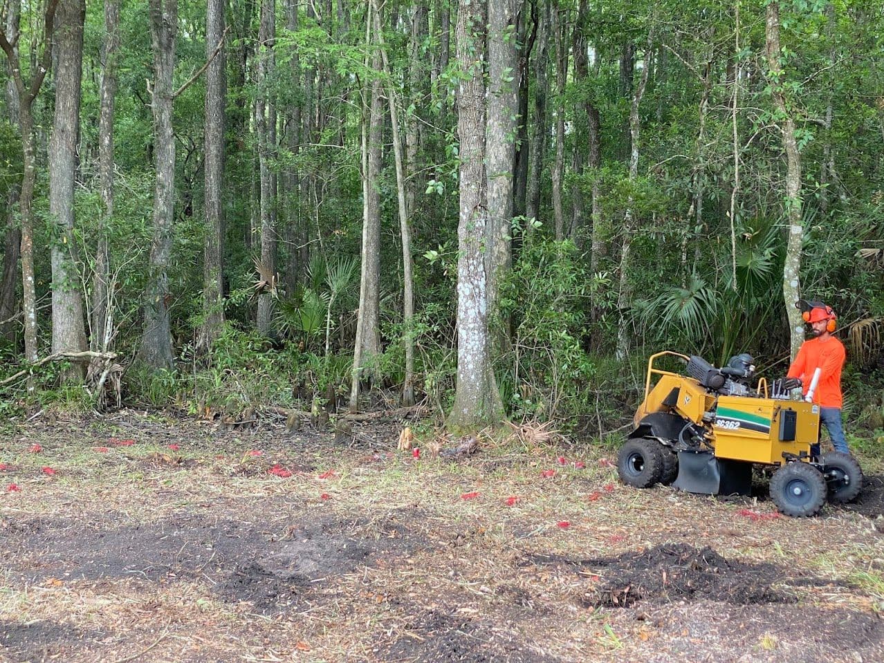 H&M Tree Service job photo 81