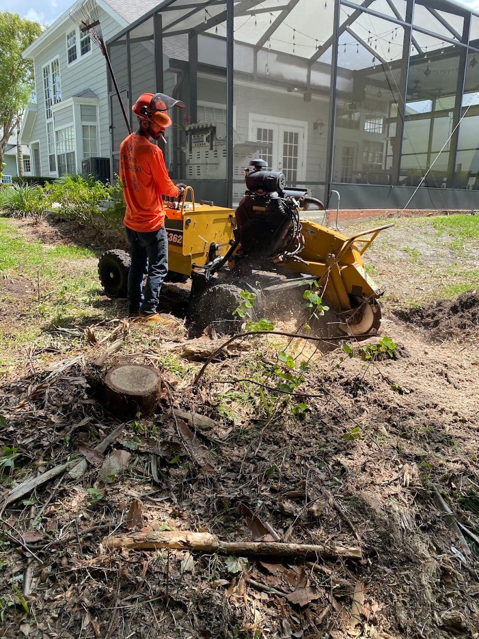 H&M Tree Service job photo 90