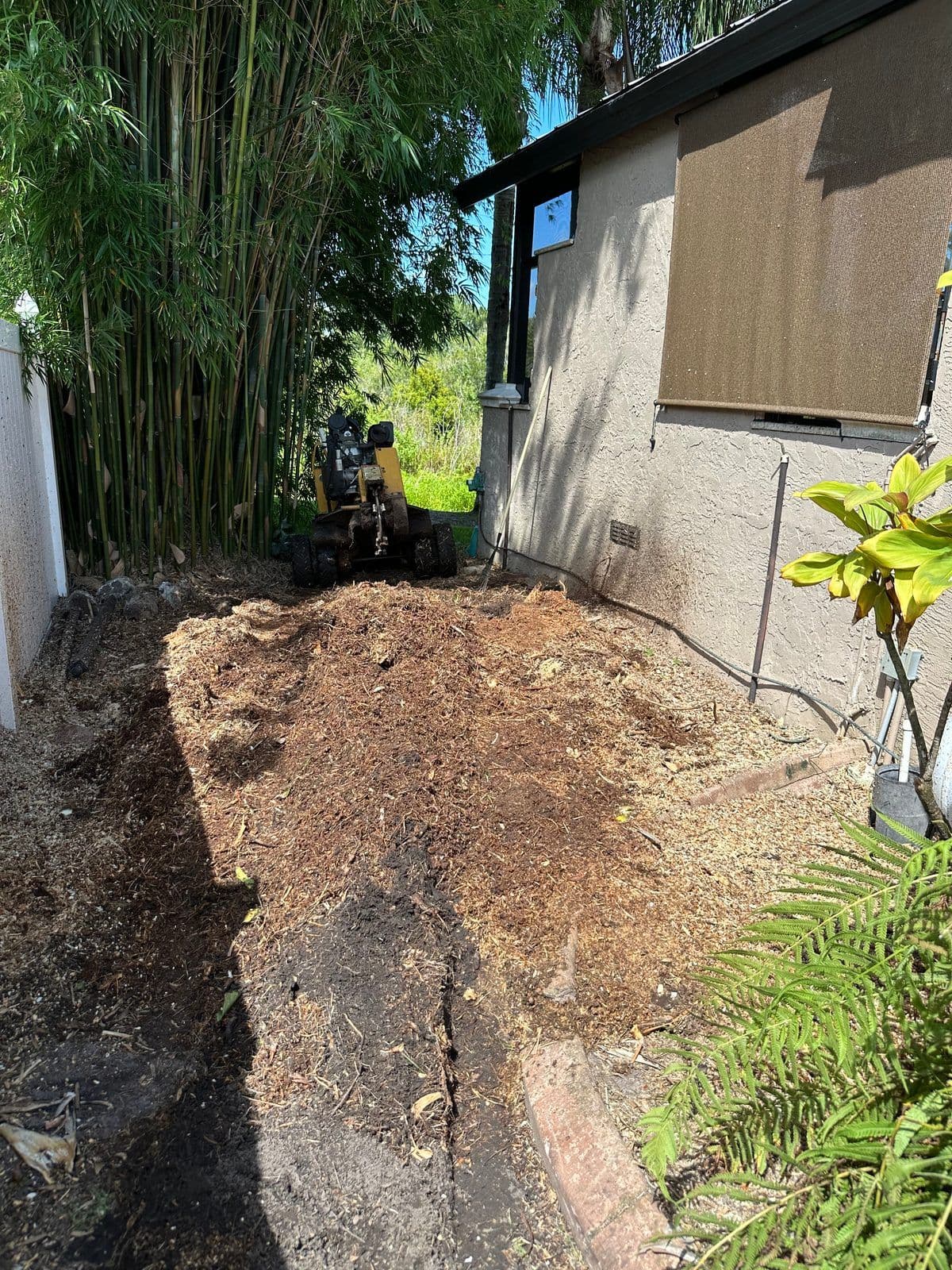 Stump grinding odessa — H&M Tree Service, Tampa