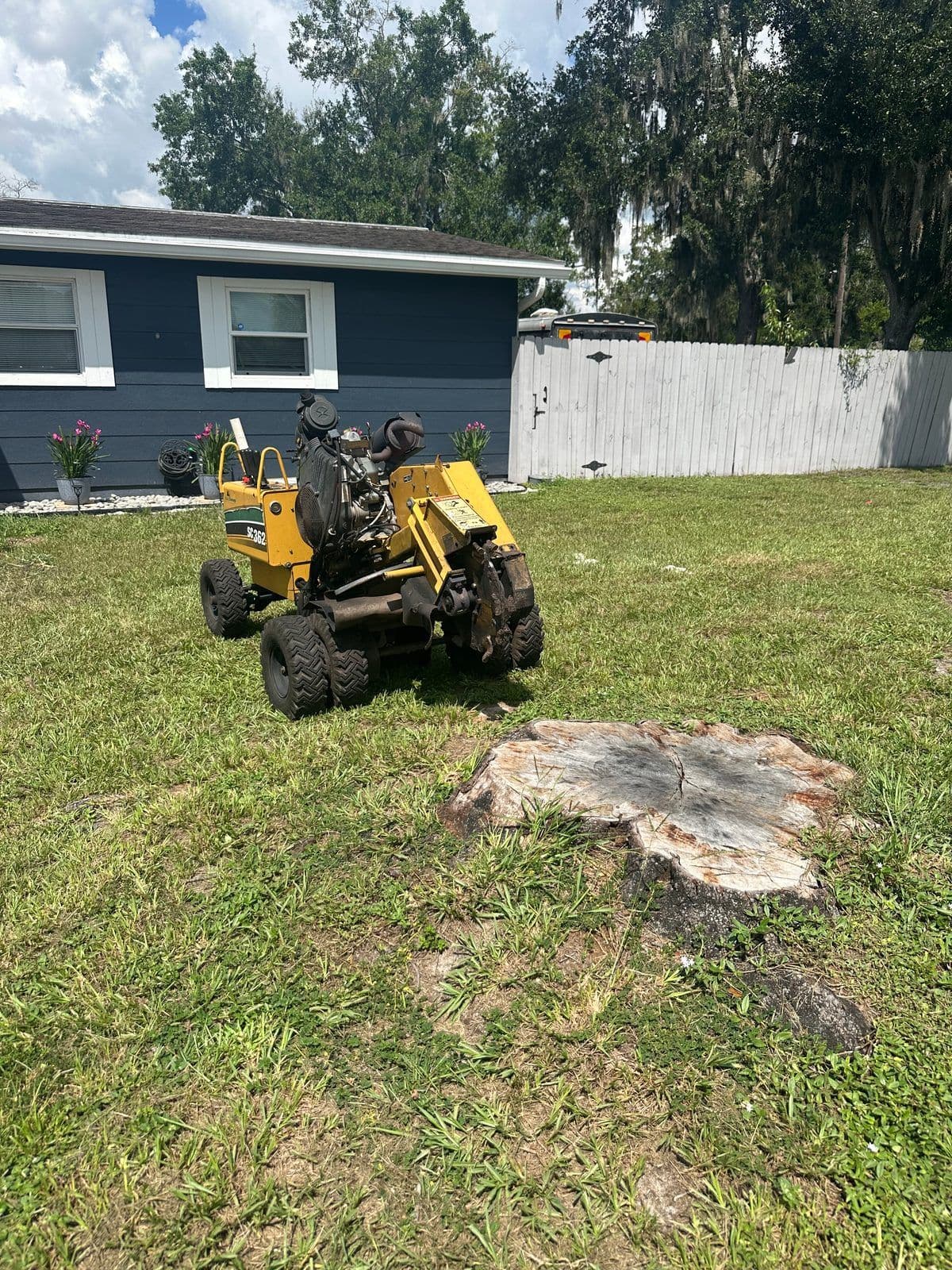 Stump grinding tampa — H&M Tree Service, Tampa