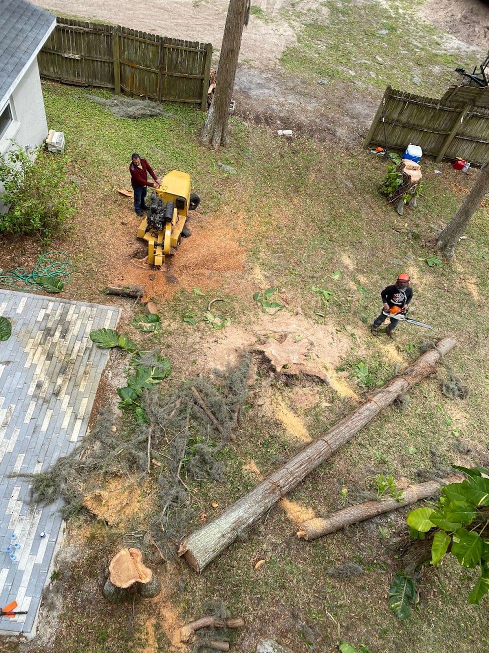 H&M Tree Service job photo 82