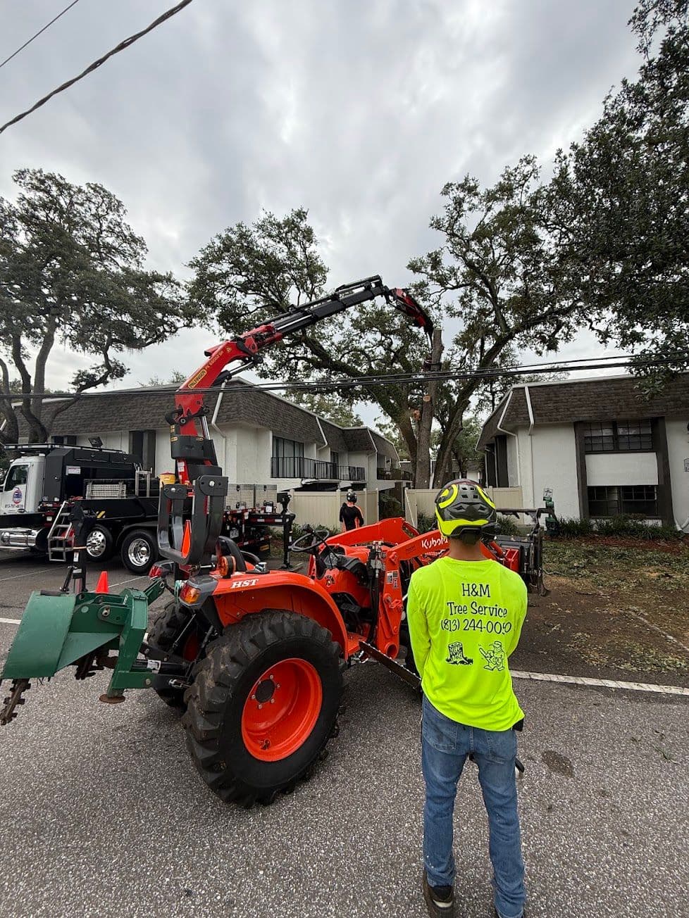 H&M Tree Service job photo 124