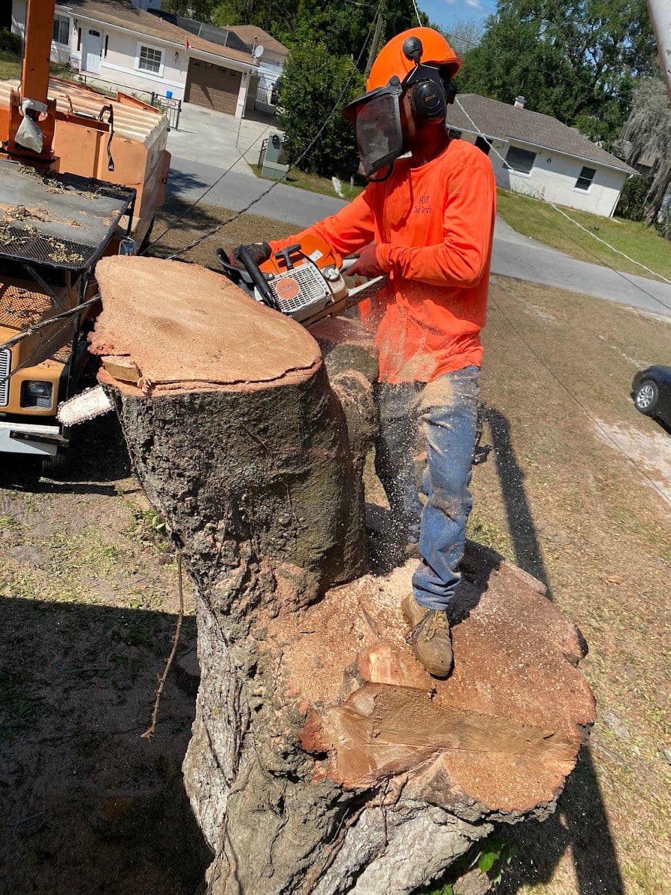 H&M Tree Service job photo 112