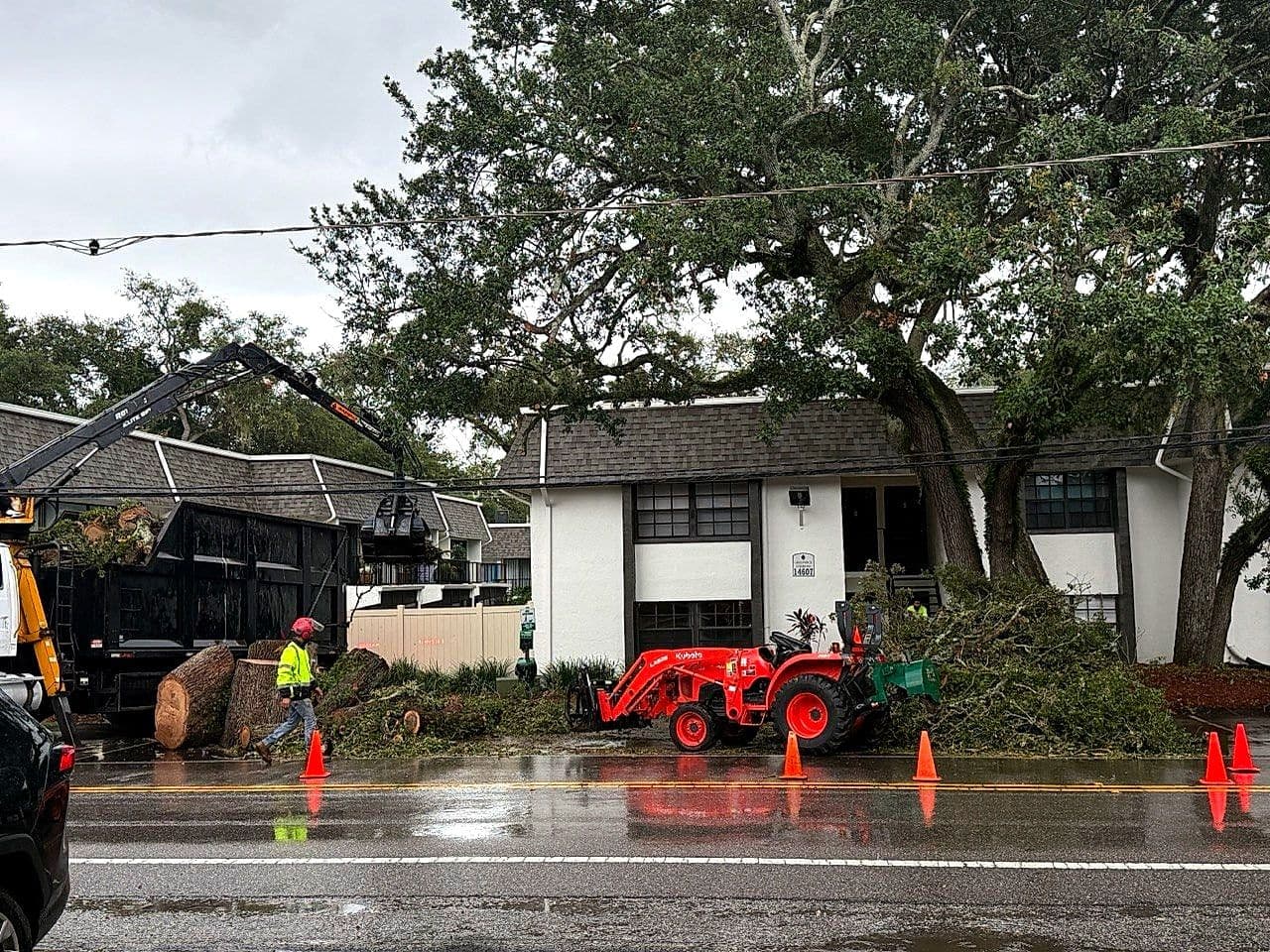 Tree removal in the rain — H&M Tree Service, Tampa