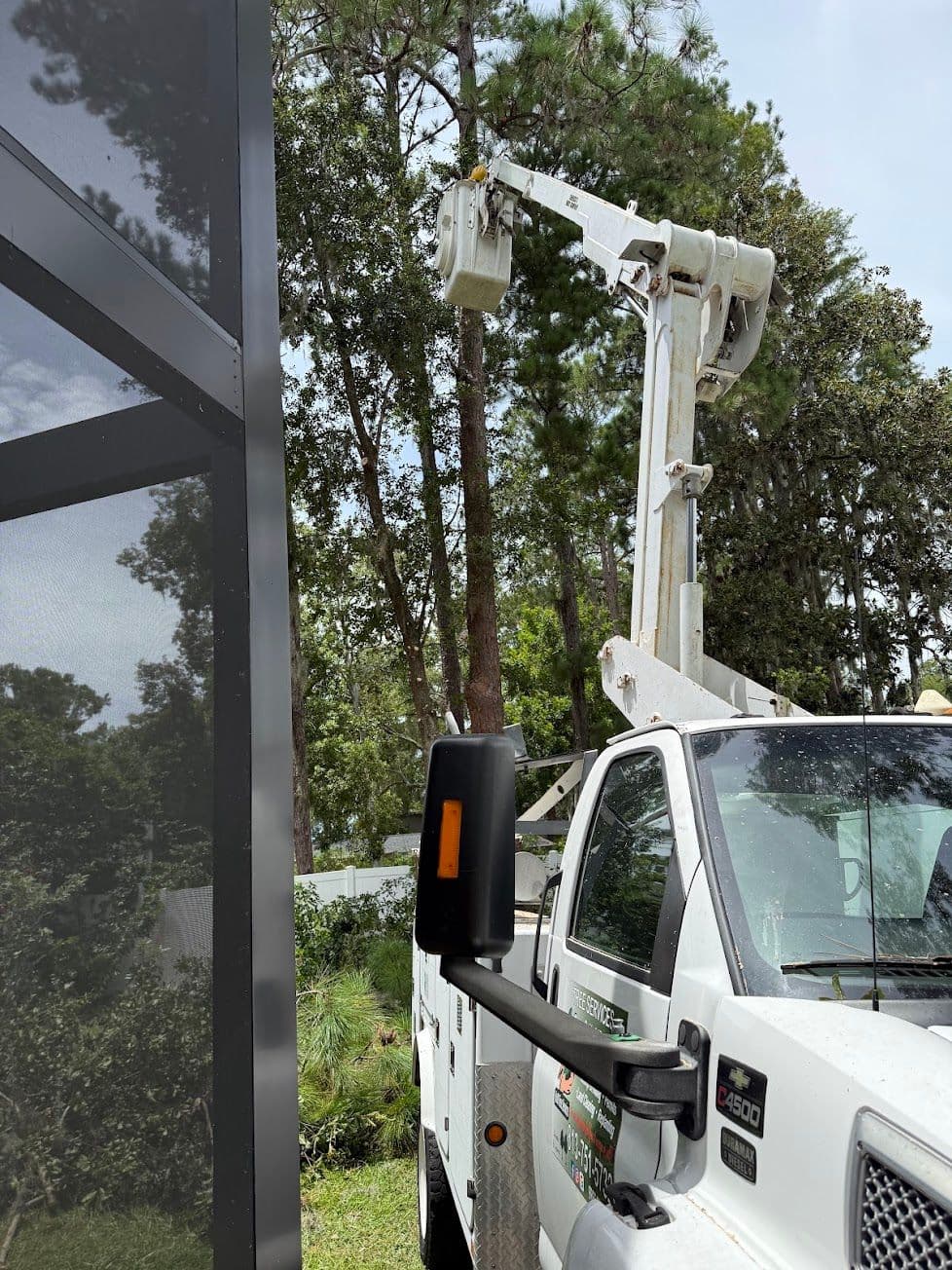 H&M Tree Service job photo 134