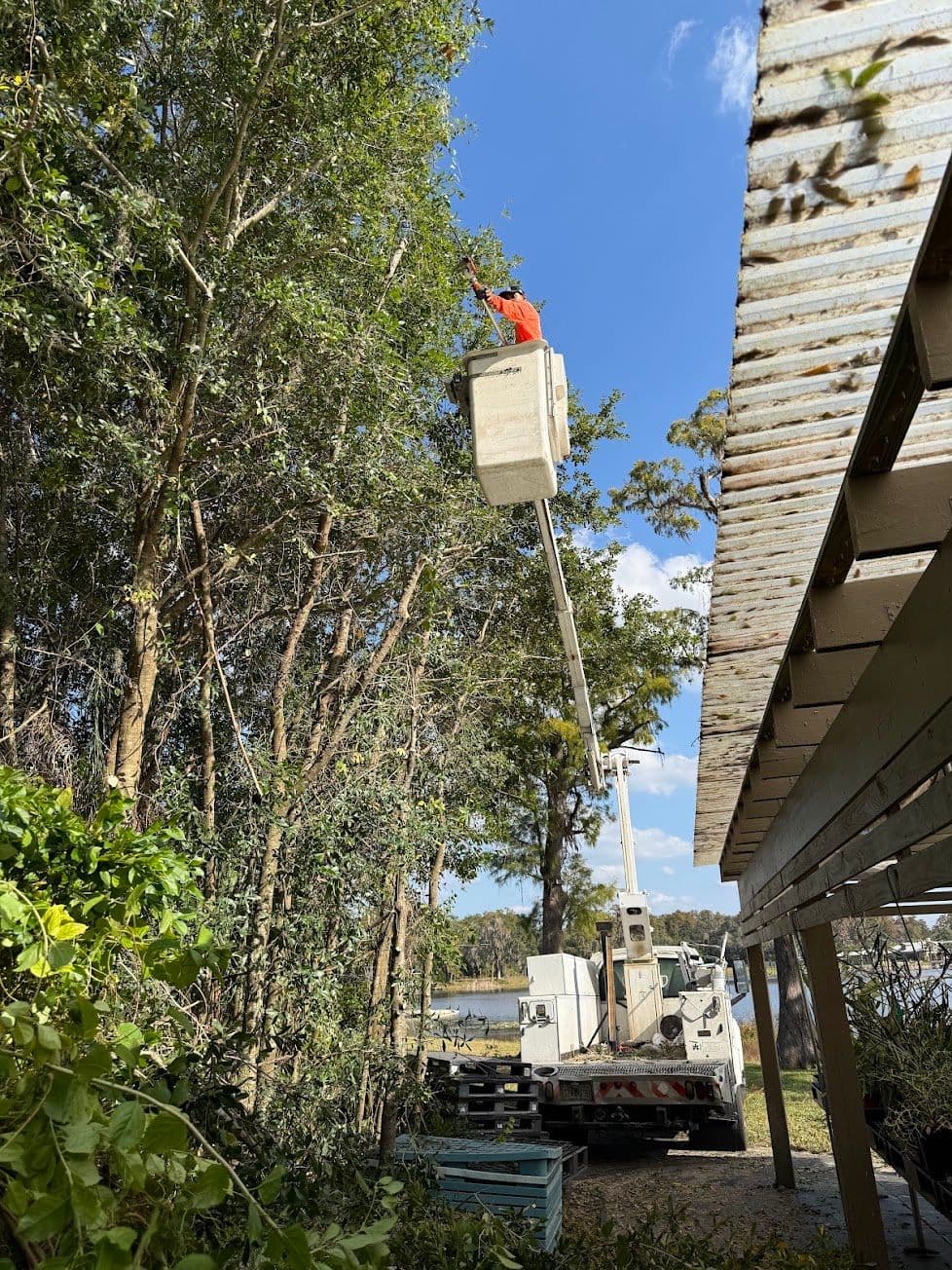 H&M Tree Service job photo 91