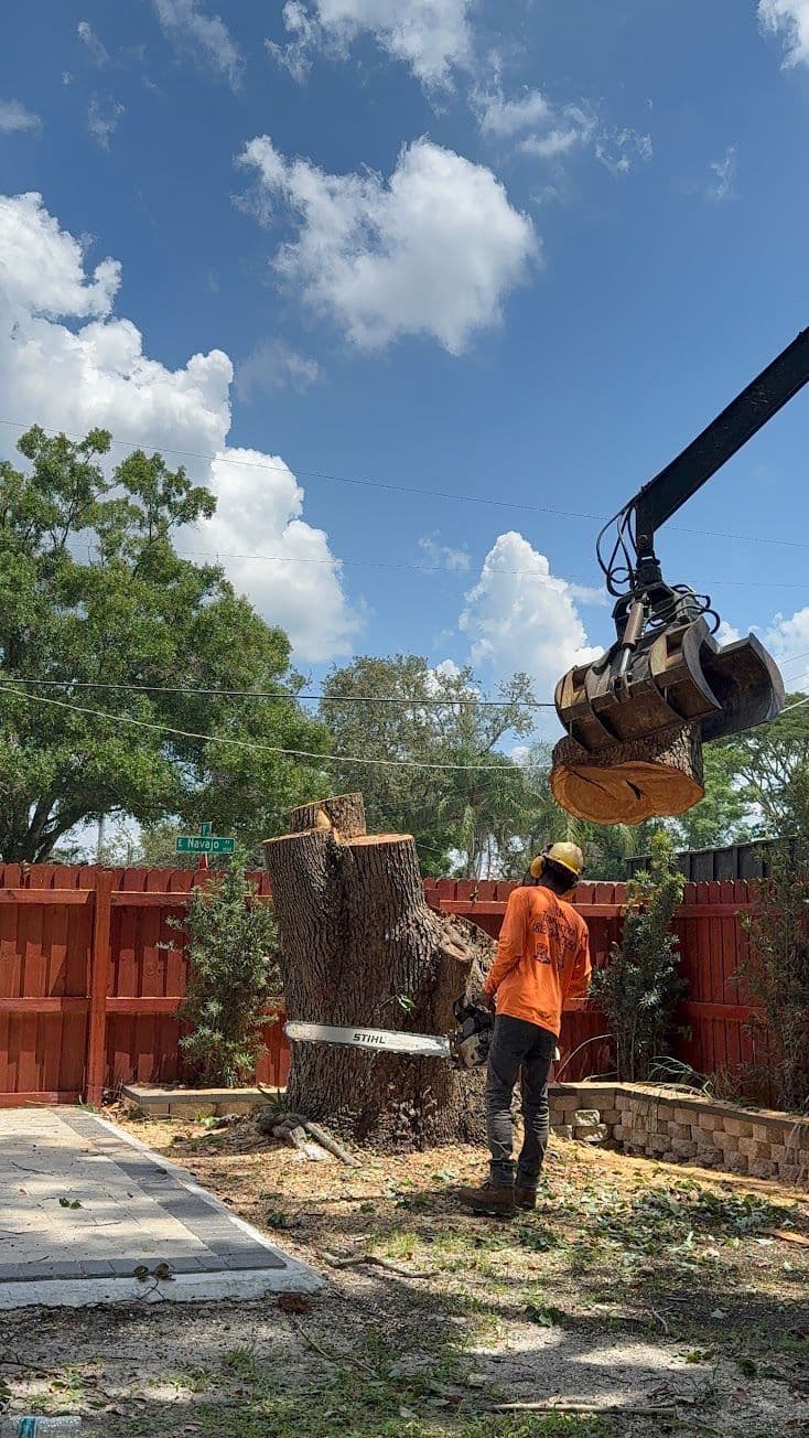 H&M Tree Service job photo 143
