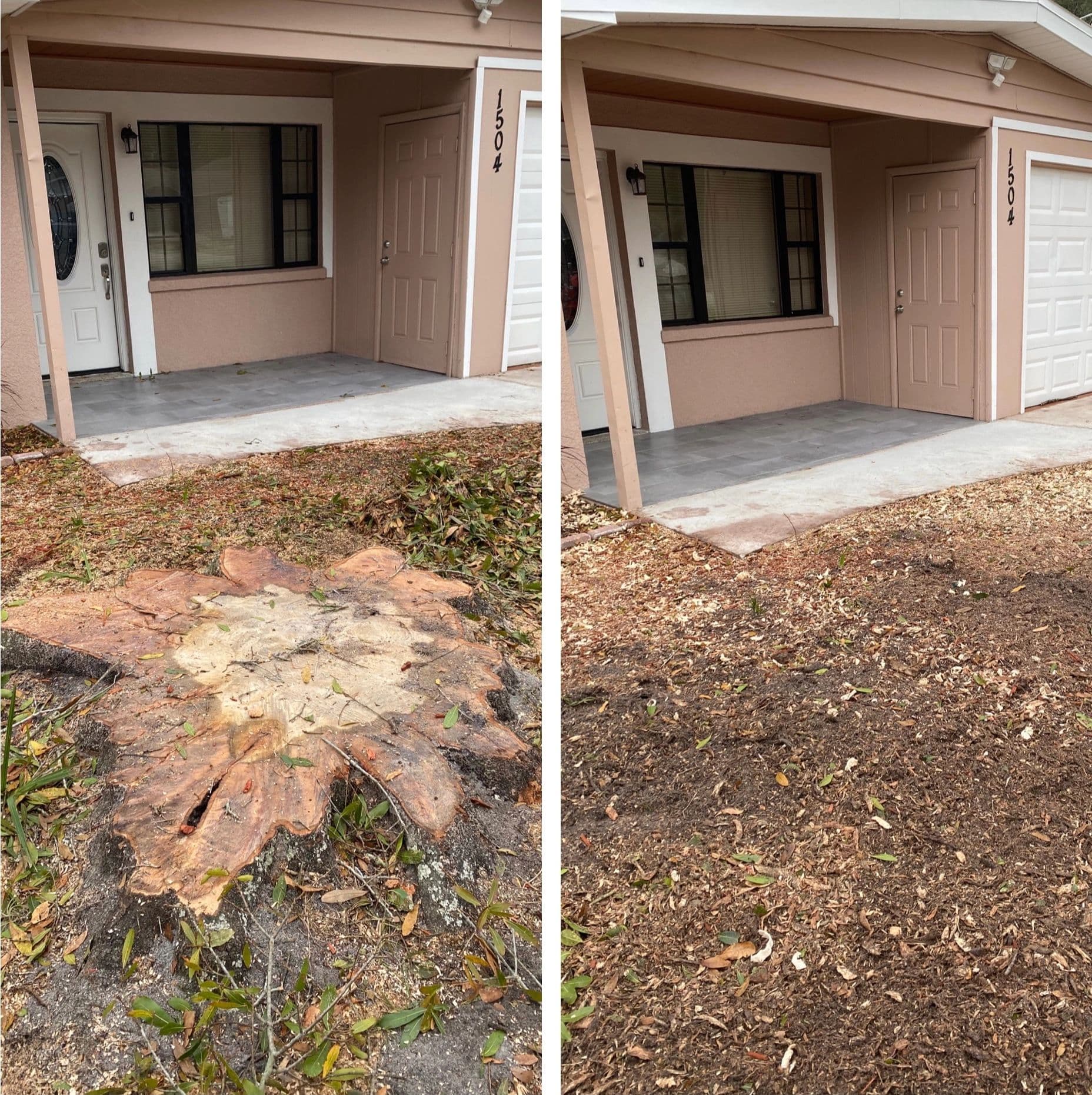 H&M Tree Service job photo 34