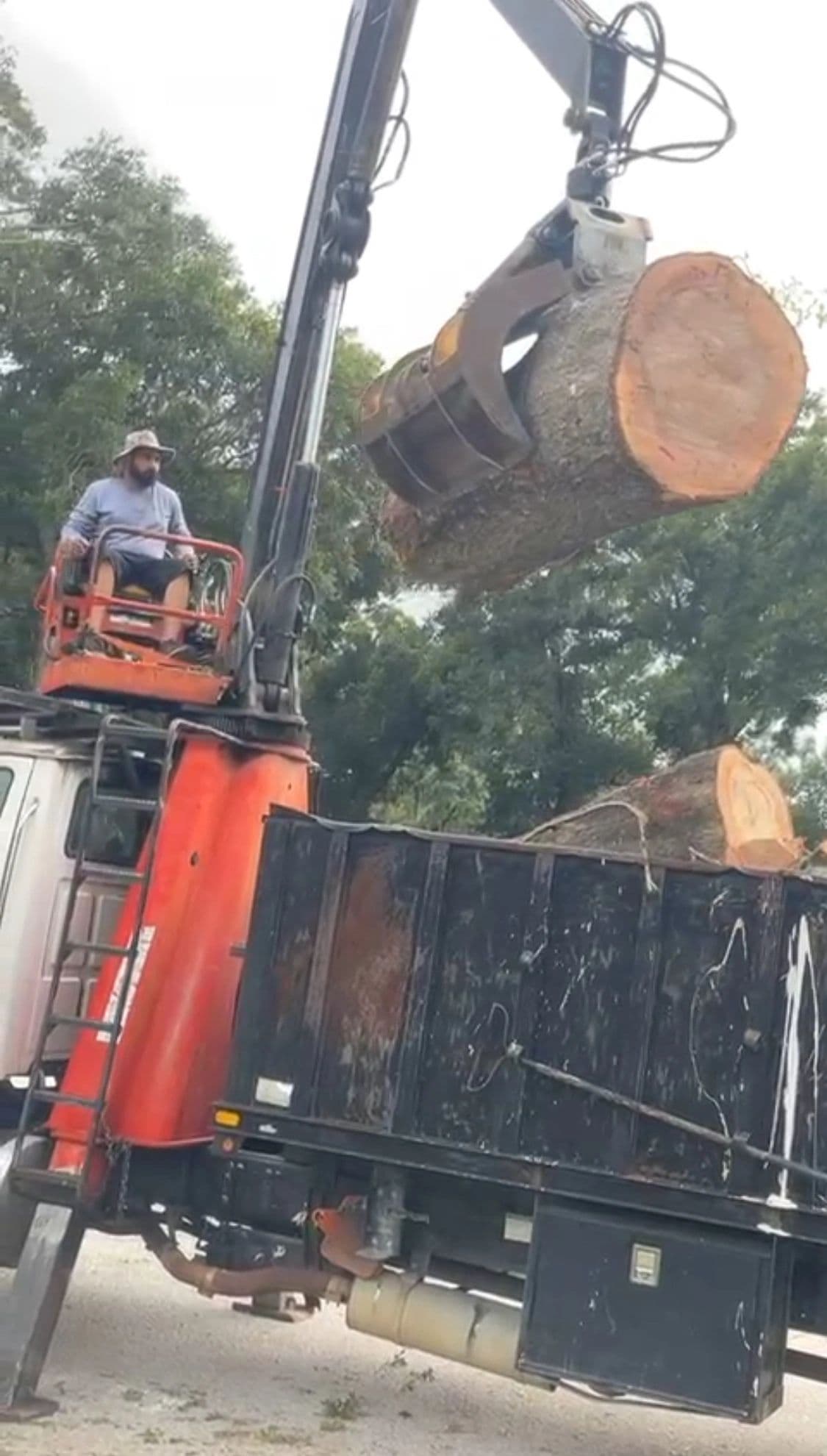 H&M Tree Service job photo 150