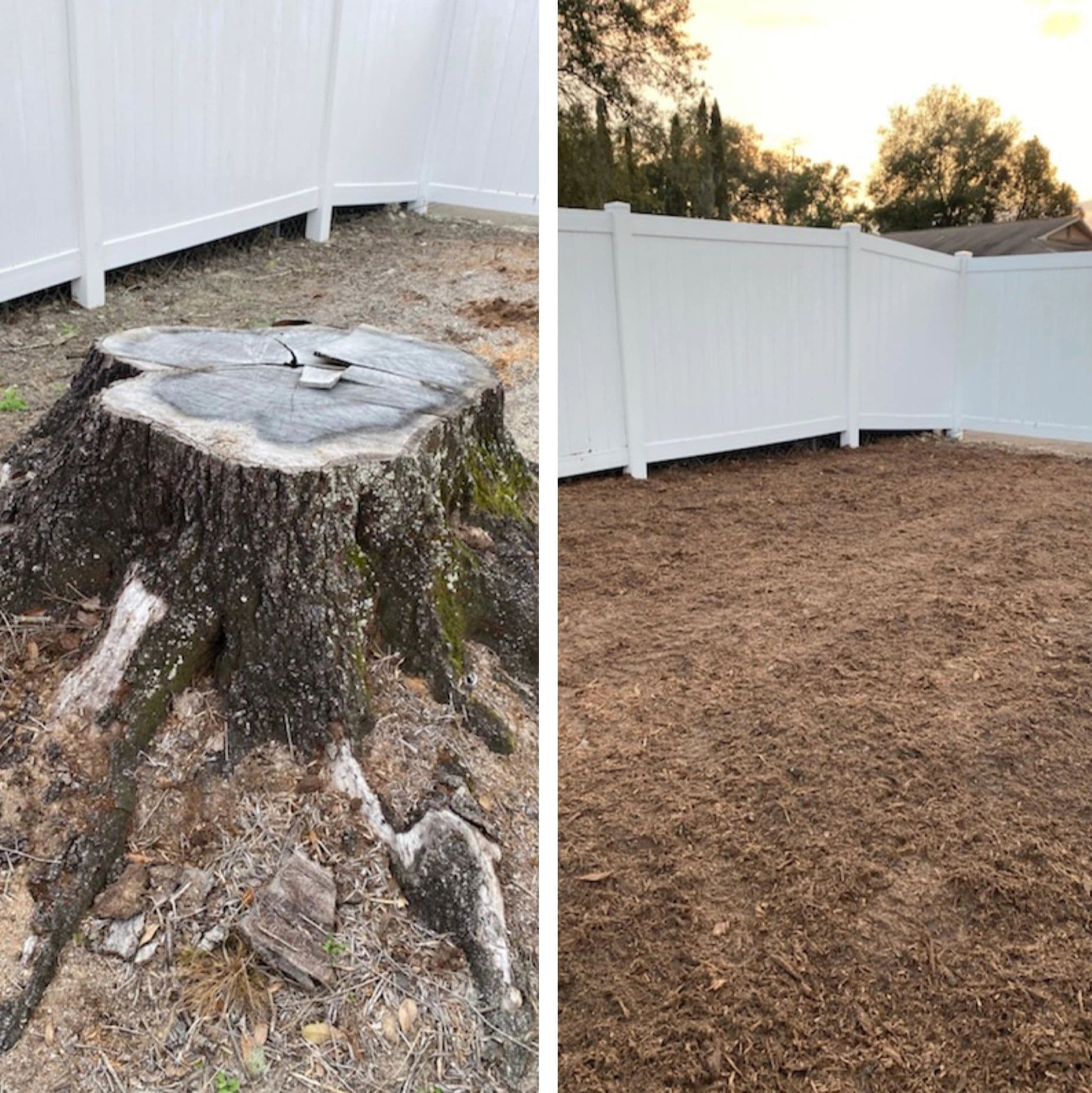 H&M Tree Service job photo 68