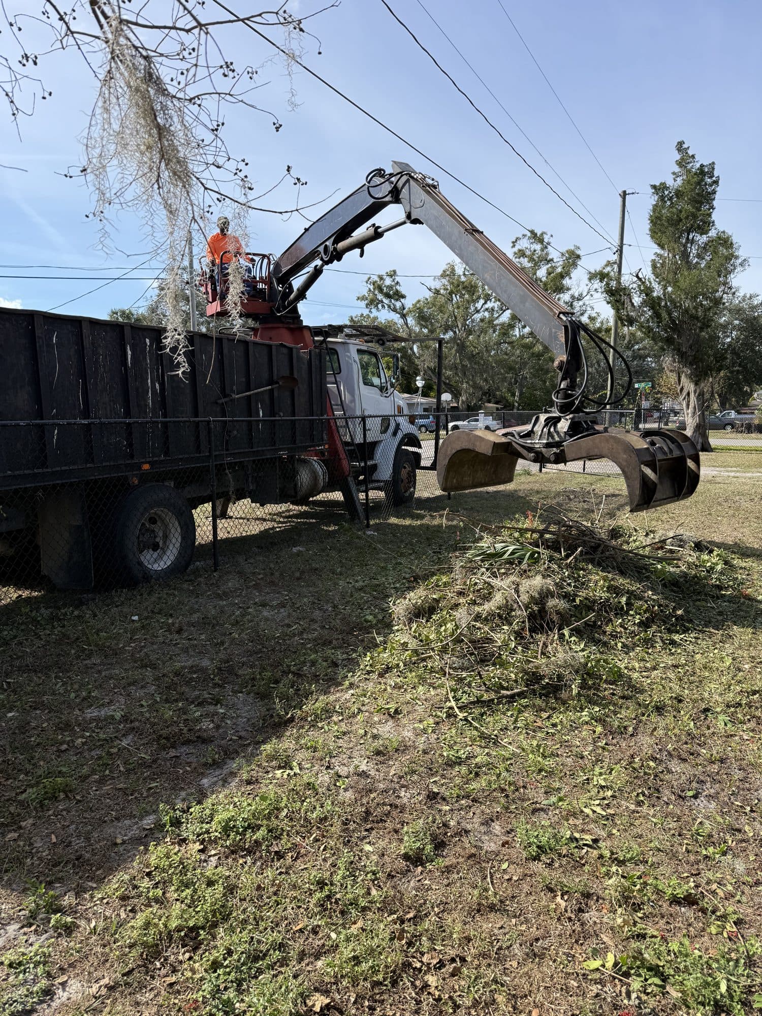 H&M Tree Service job photo 23