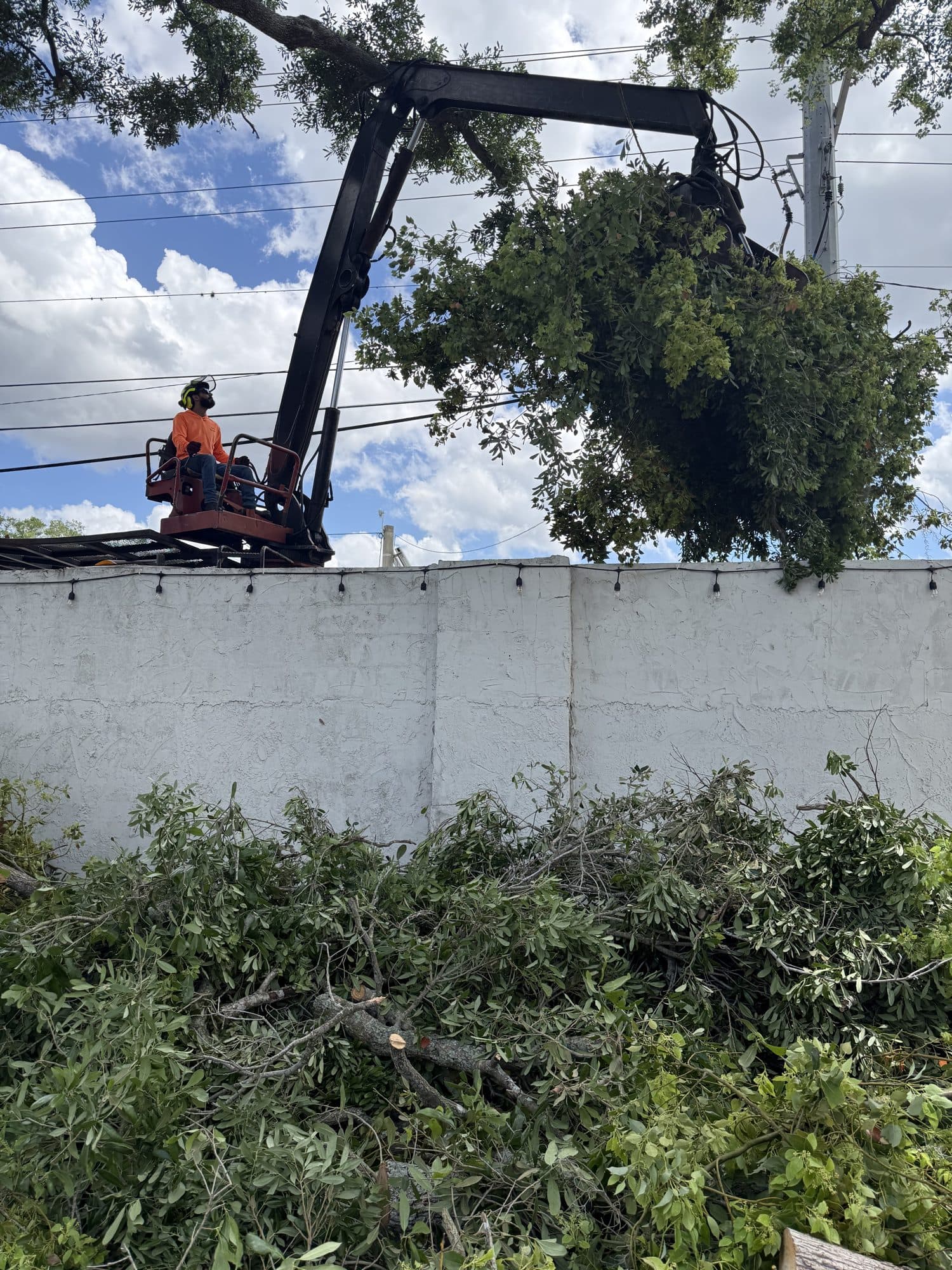 H&M Tree Service job photo 32