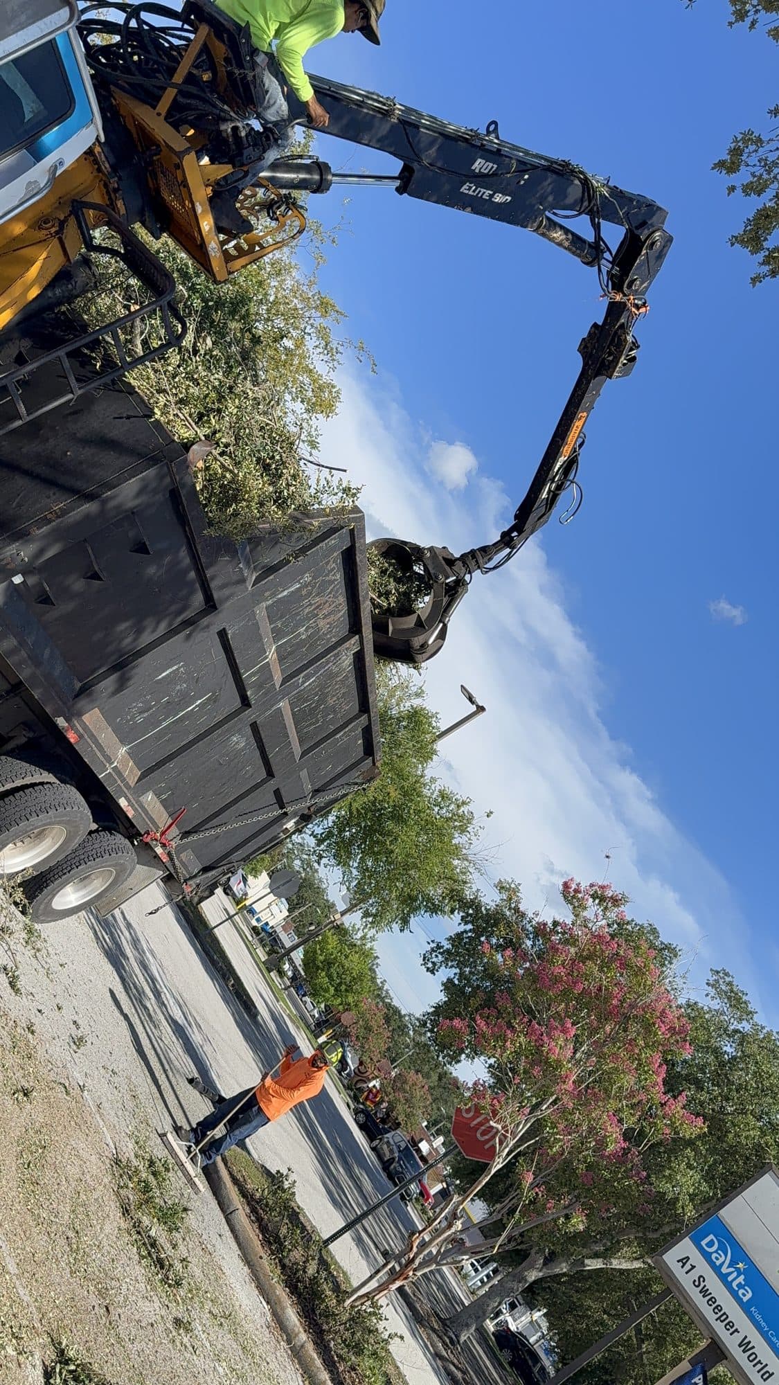 H&M Tree Service job photo 59