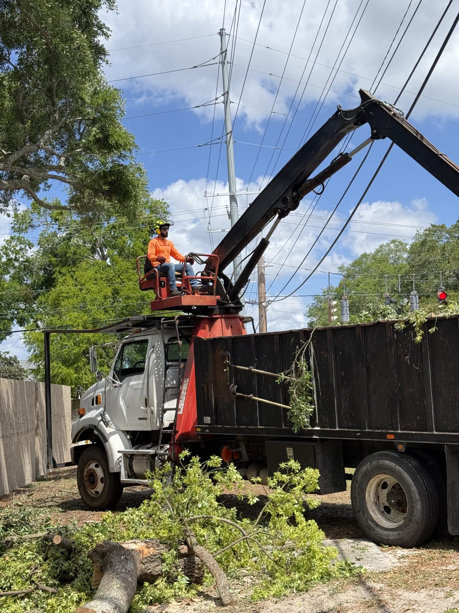 H&M Tree Service job photo 42