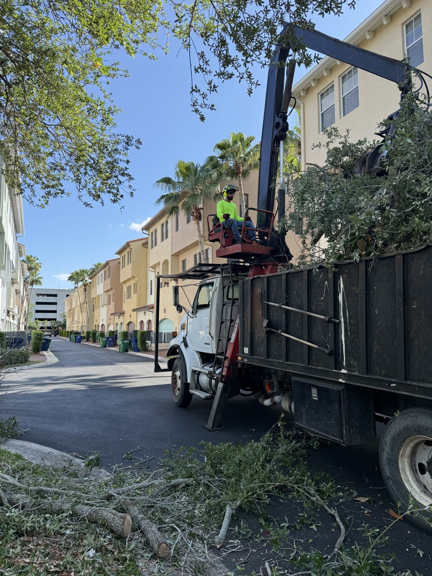 H&M Tree Service job photo 33