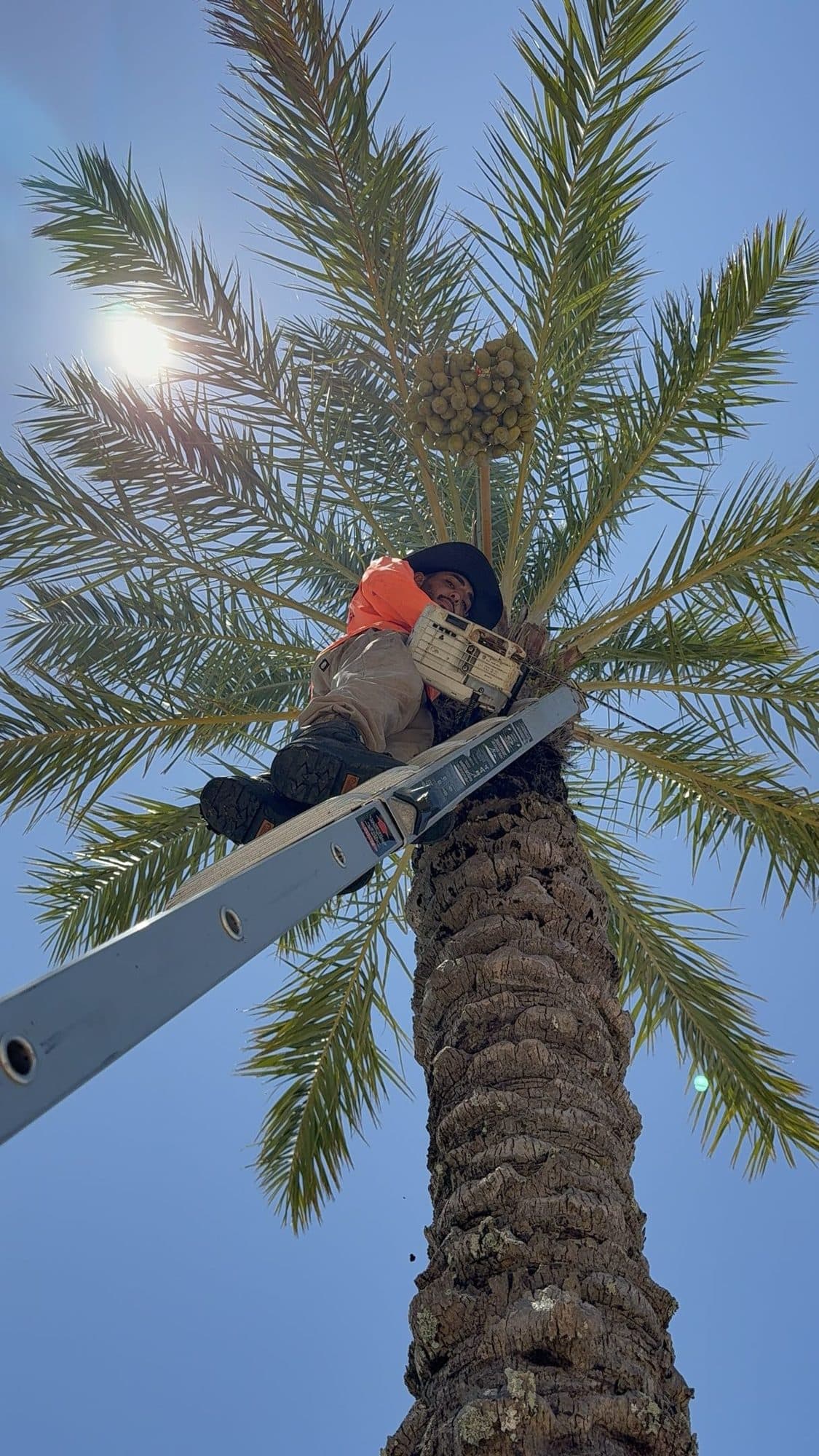 H&M Tree Service job photo 75