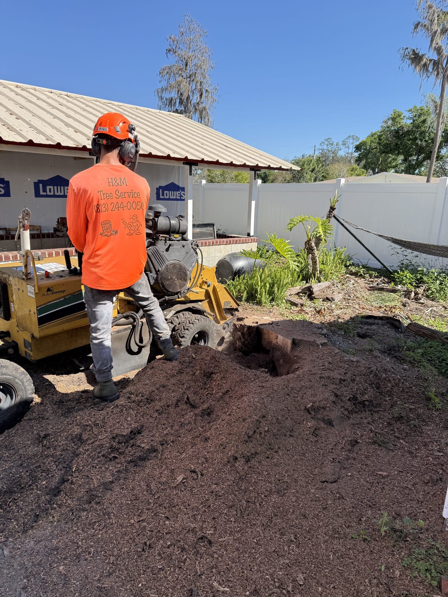 H&M Tree Service job photo 31