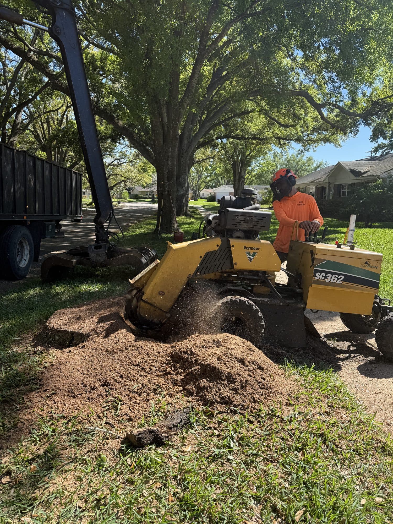 H&M Tree Service job photo 15
