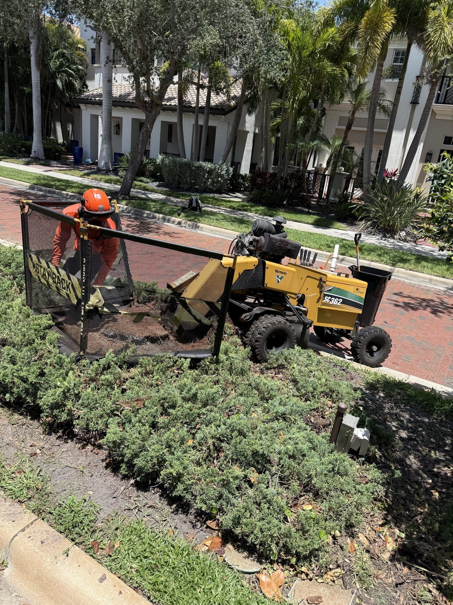 H&M Tree Service job photo 12