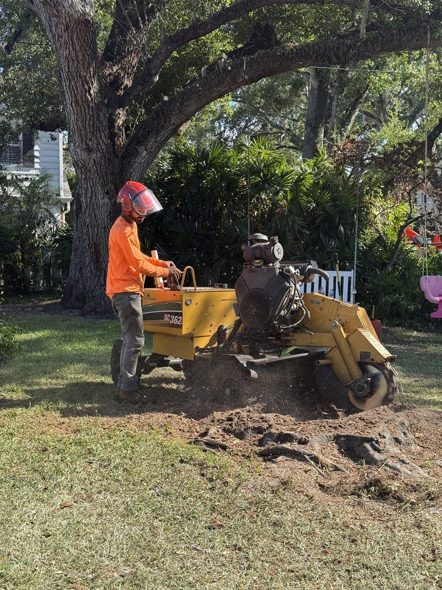 H&M Tree Service job photo 18