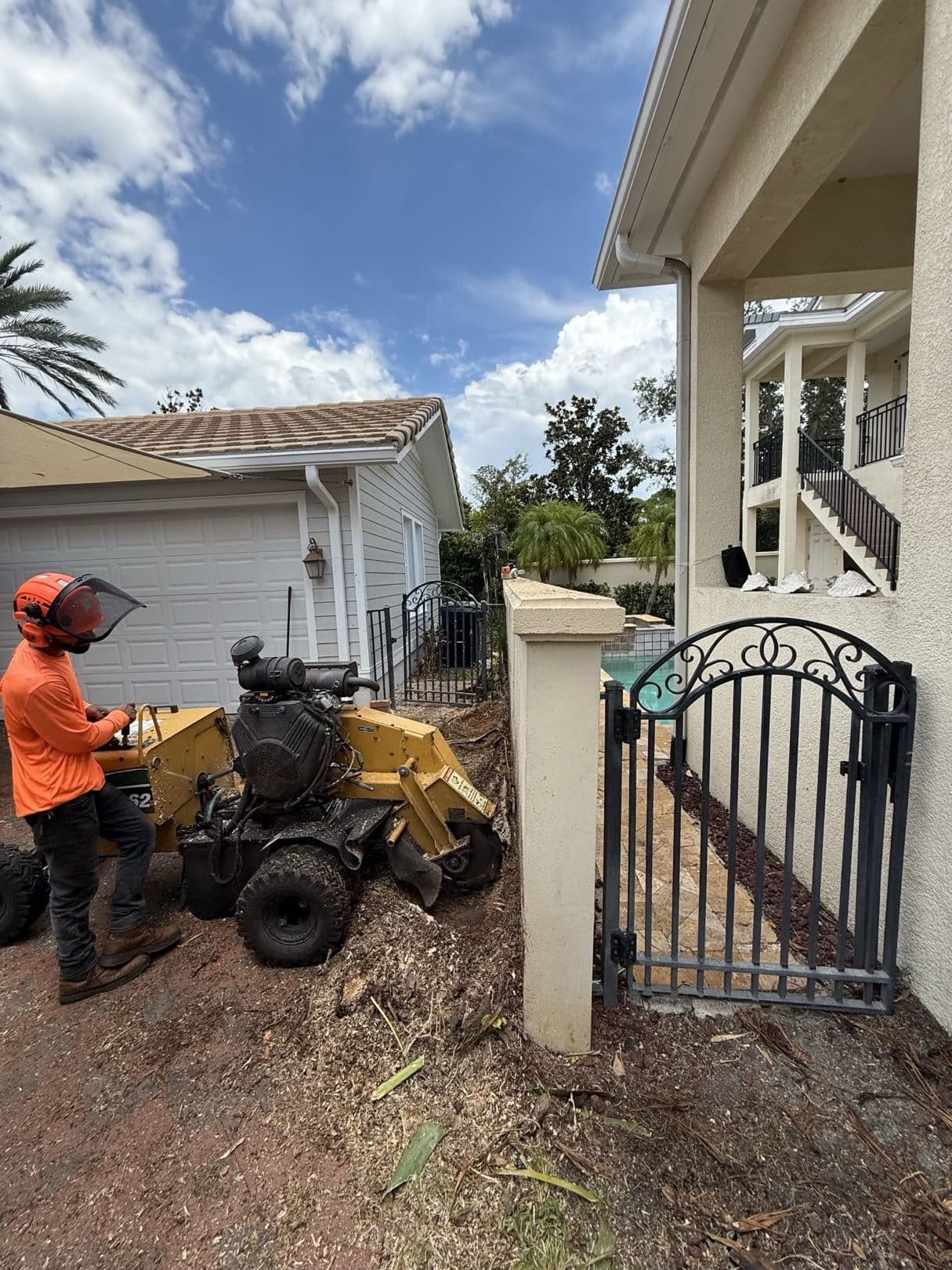 H&M Tree Service job photo 83
