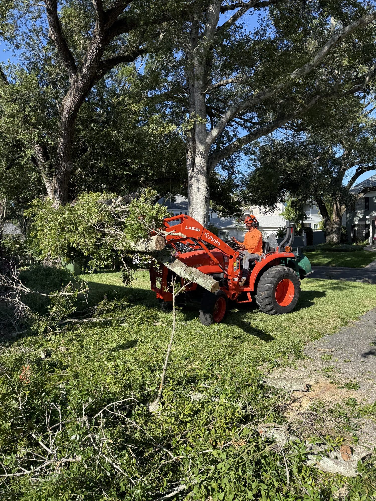 H&M Tree Service job photo 11
