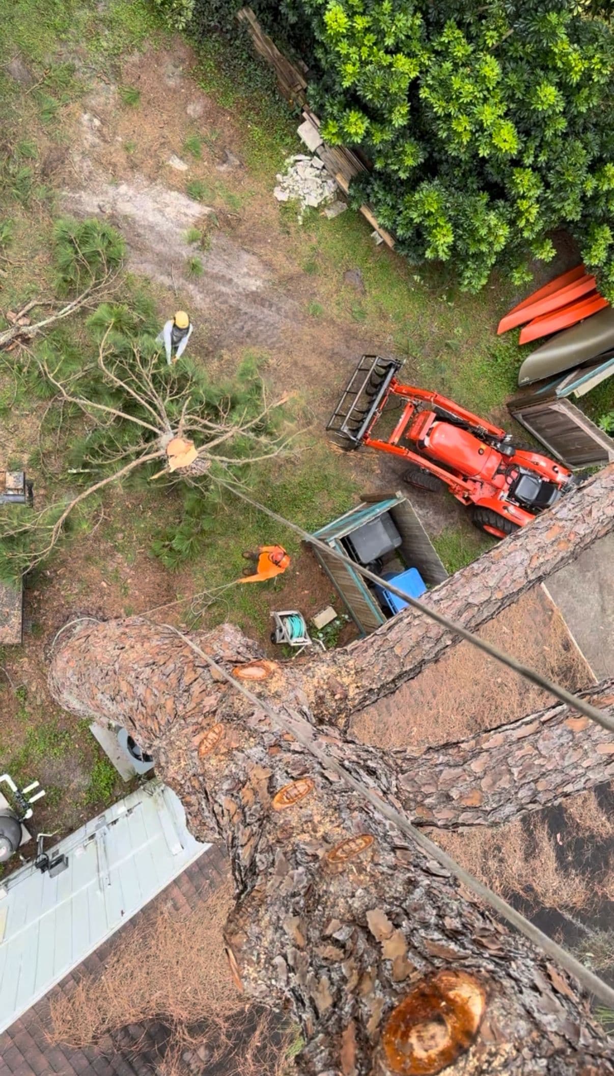 H&M Tree Service job photo 62